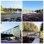 Scandian - Centre * Tallin